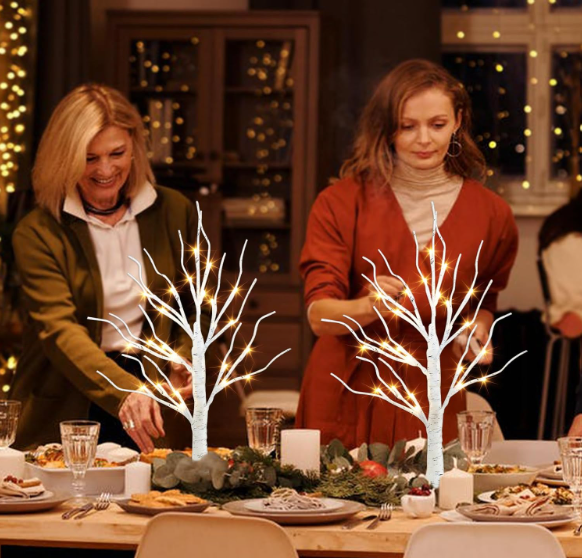 PEIDUO Christmas Decorations Indoor, 2 FT Birch Tree with LED Lights, Fairy Light Spirit Tree for Christmas Decor, Warm White Lighted Birch Trees for Home Decor Indoor, Battery Powered, Timer